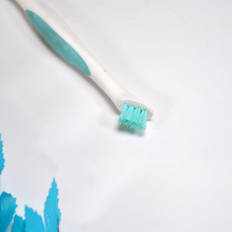 6665 Multipurpose 2 side brush for home and kitchen use. DeoDap