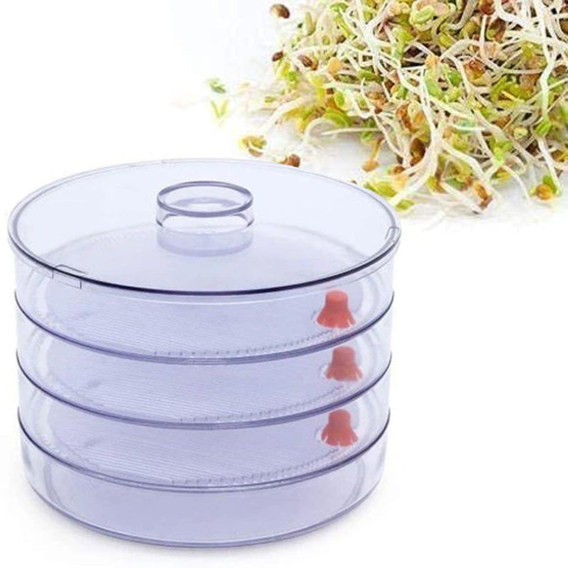 070 Plastic 4 Compartment Sprout Maker, White holeseller